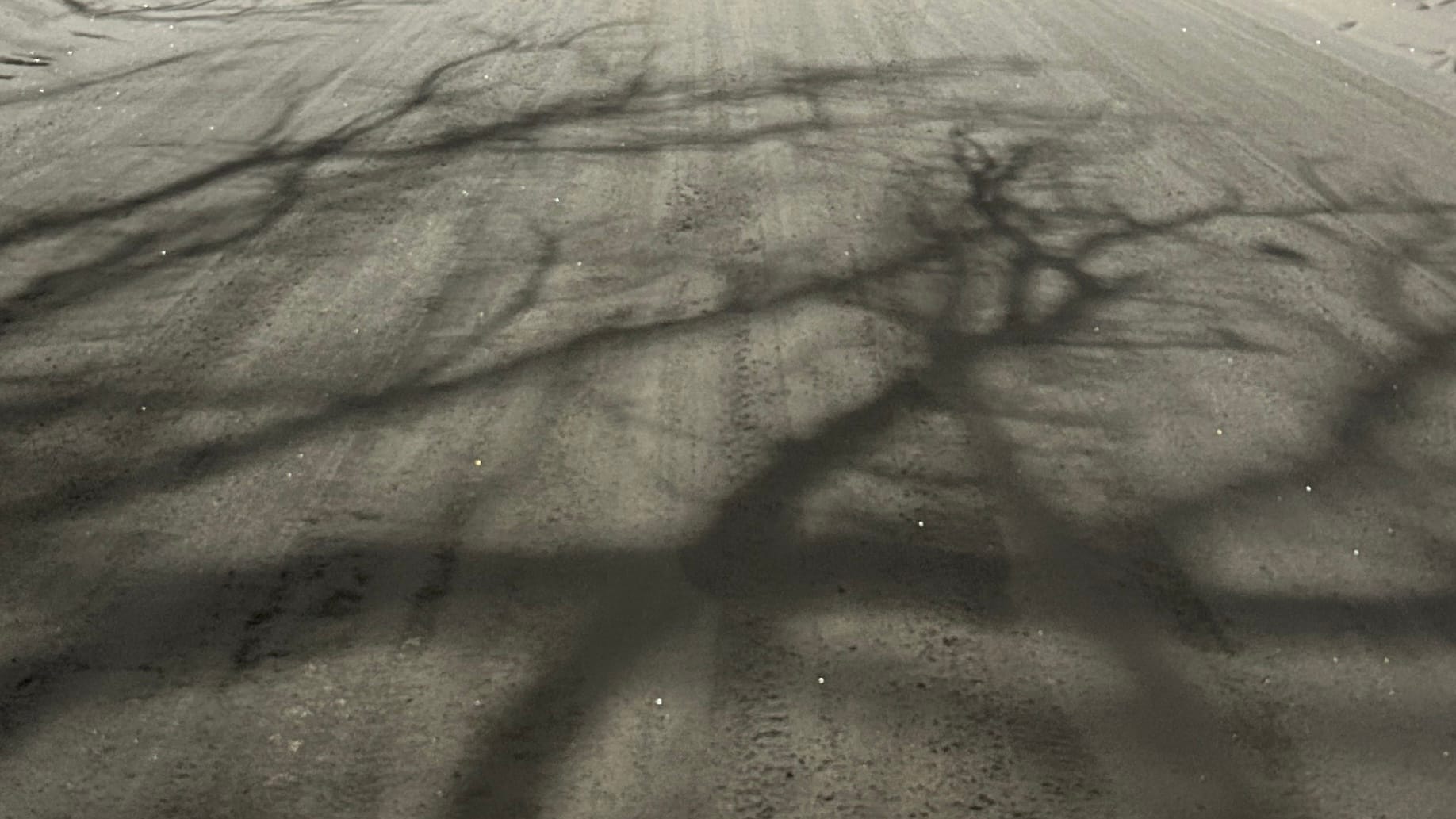 A road covered in snow with the shadow of trees on it